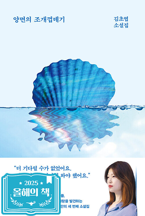 양면의 조개껍데기 이미지