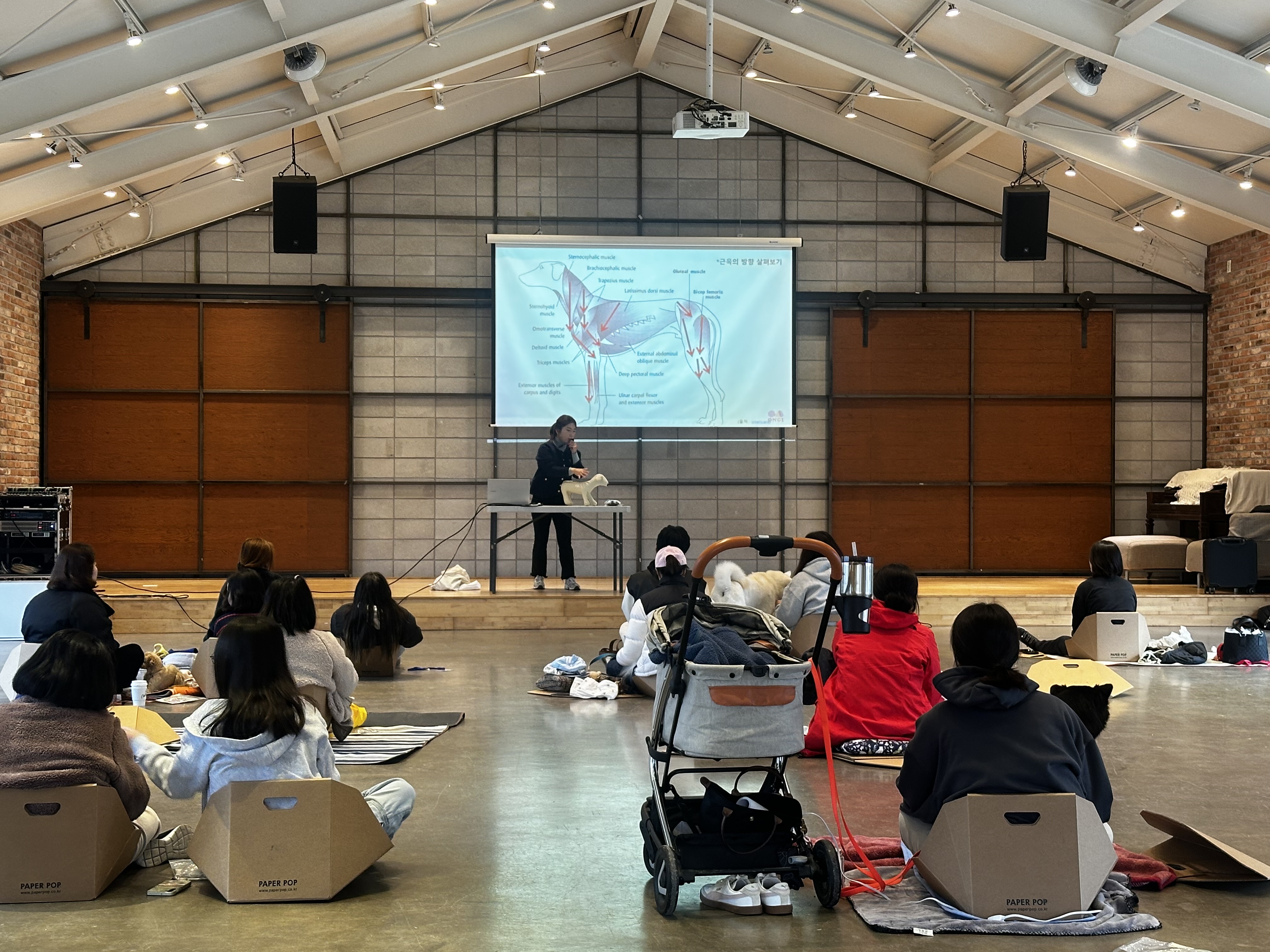 반려견과 교감하며 힐링한 하루, 김포시 ‘댕댕 힐링클래스’ 큰 호응 이미지 2