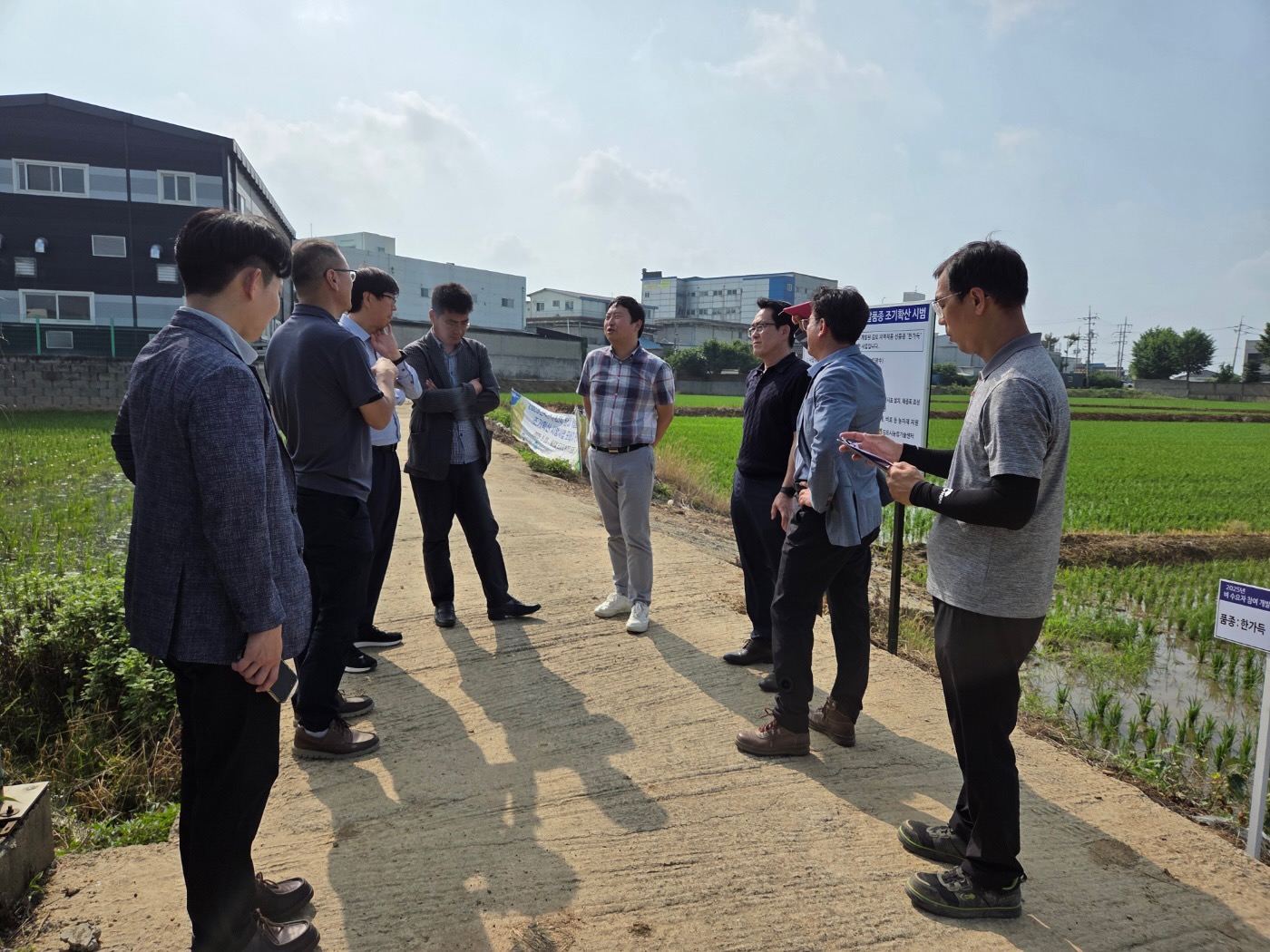 김포시, 지역특화 벼 신품종 ‘한가득’  조기확산 시범· 육종기관 관계자 생육초기 현장컨설팅 실시 이미지