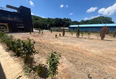 그랜드파파 대표 이미지