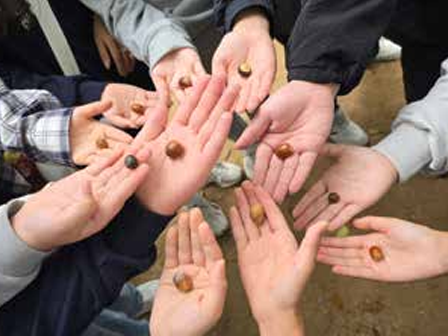 도시공원 생태체험 프로그램